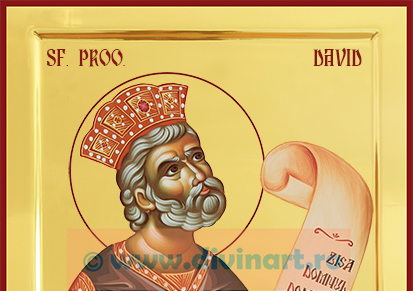 Icoana pictata Sfantul Prooroc David